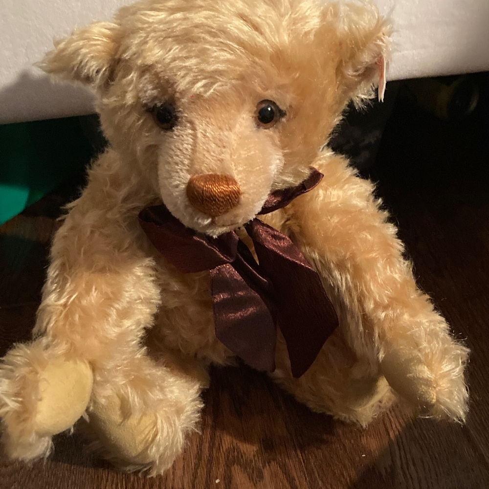 Adorable Tan Stuffed Bear with Brown Ribbon